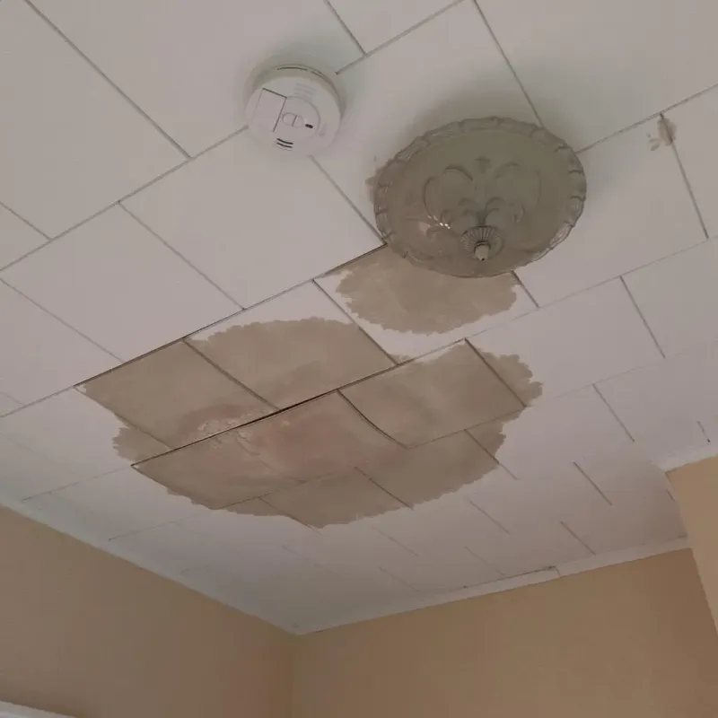Ceiling Water Damage Repair in Jennings, LA